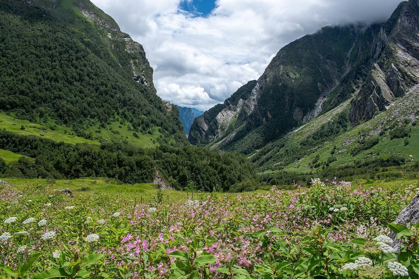 Valley of Flowers Trek